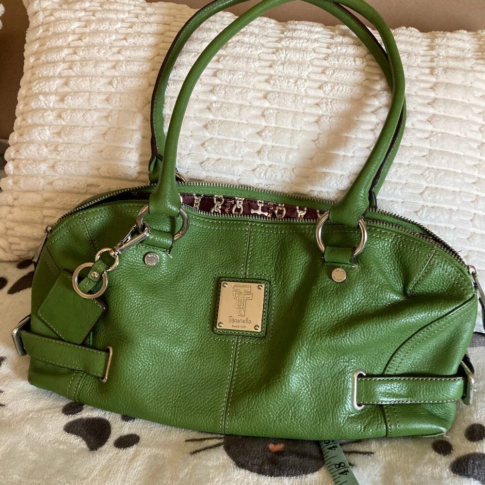 Tignanello Green Leather Bag